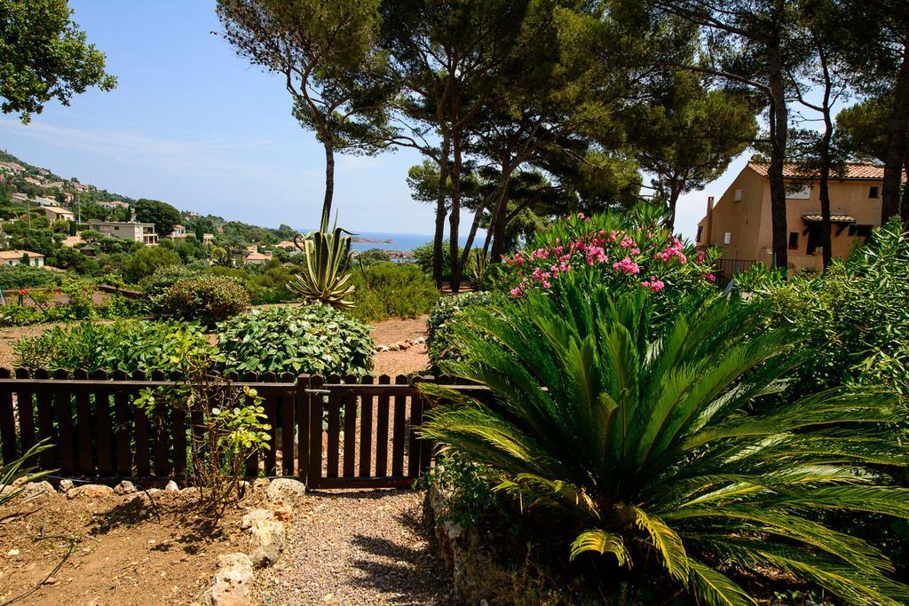 Bastidon Vue Mer Antheor-Cap-Roux Chambre photo